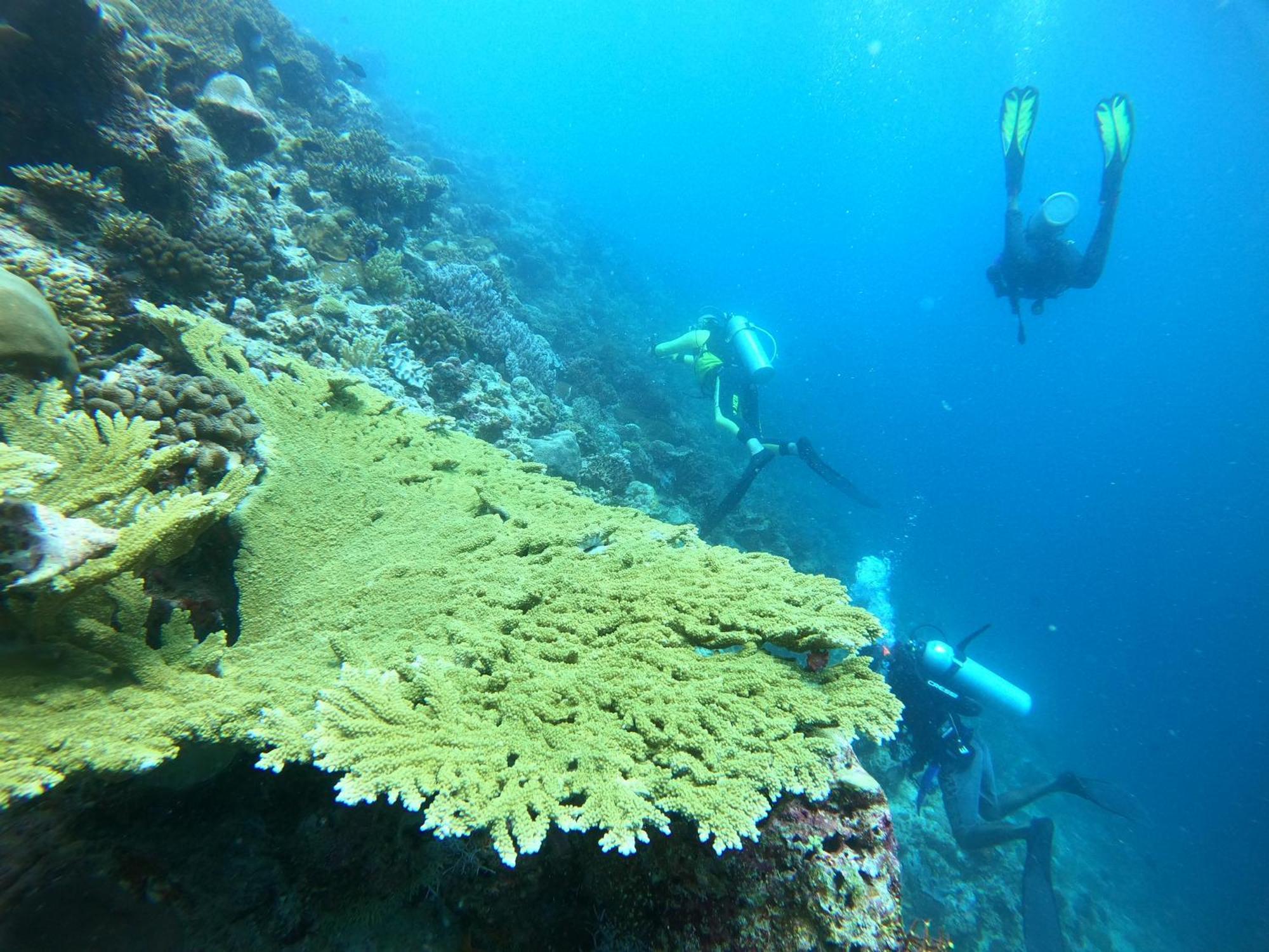 Manta Sea View Himandhoo Hotel Exterior photo